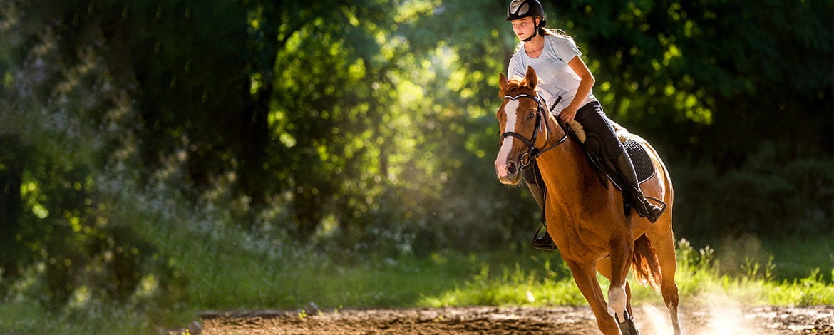 Производителност и фитнес