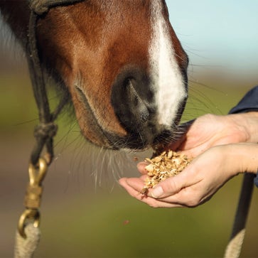 Силна имунна система