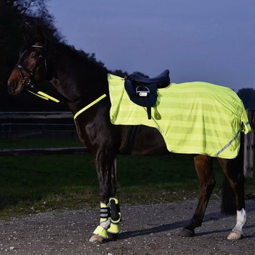 Seguridad en la oscuridad