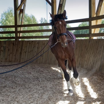 Programa de mal tiempo
