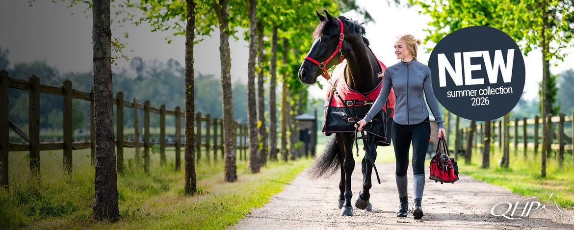 Sommerglanz im Sattel