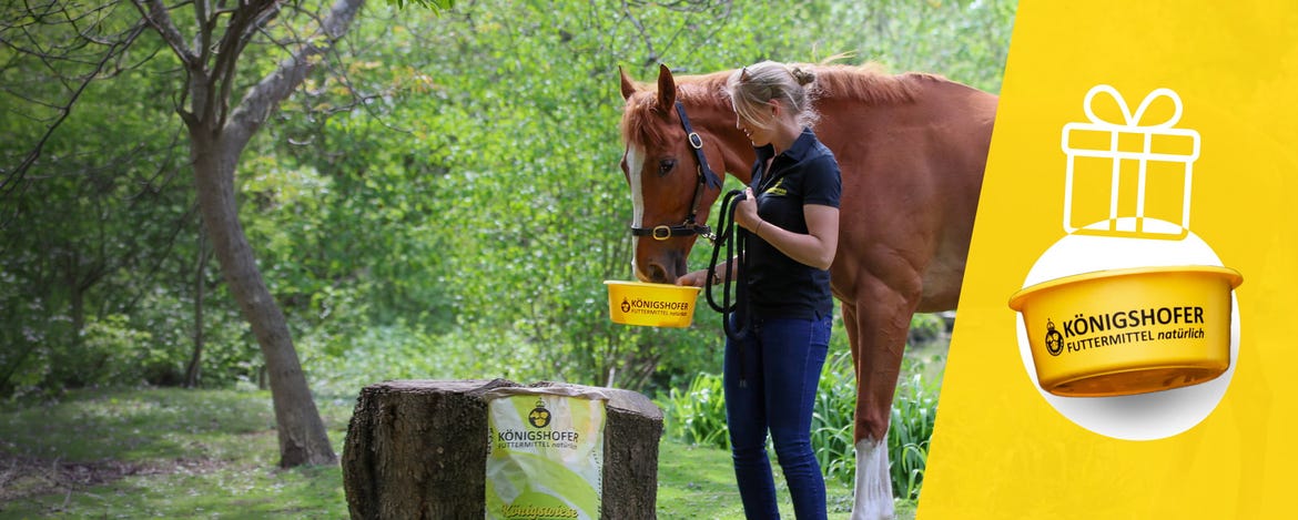 Free KÖNIGSHOFER Feeding Bowl!