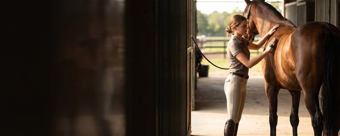 Efficient Grooming for a Glossy Coat