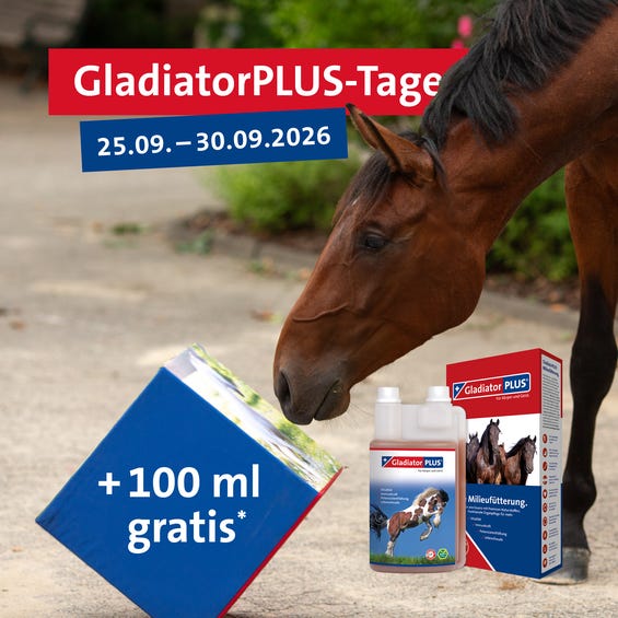 Gratis Geschenk zu GladiatorPLUS Tagen!