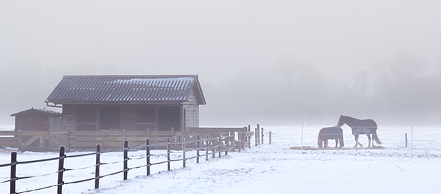 Exercise, Air & Light: Fit Through the Winter in an Open Stable