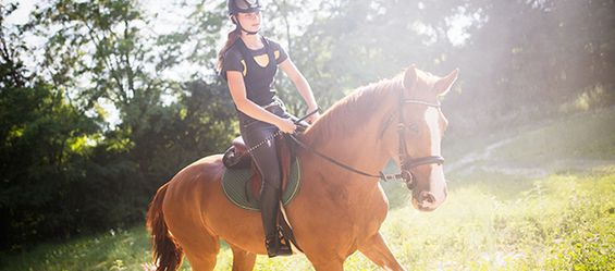 Frühjahr: Kraft und Ausdauer beim Pferd aufbauen