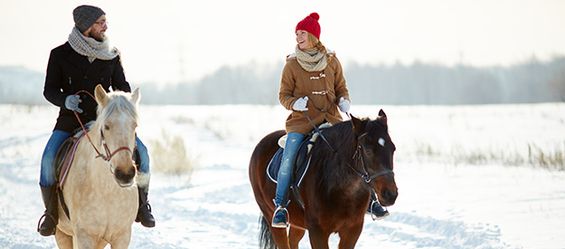 Tipps fürs Winterreiten