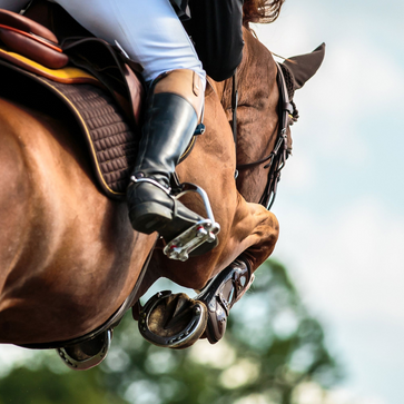 Electrolytes for Horses - For High Performance