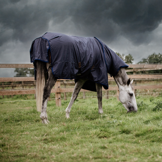 Themen / Wind & Wetter