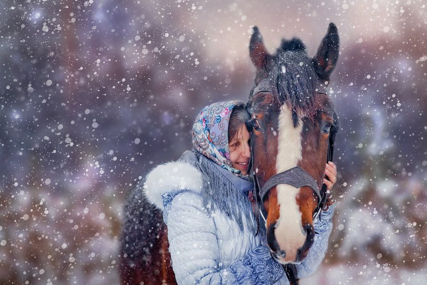 Pferde lieben den Winter, wenn sie richtig versorgt sind