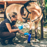 Complementary Feed to Support Recovery