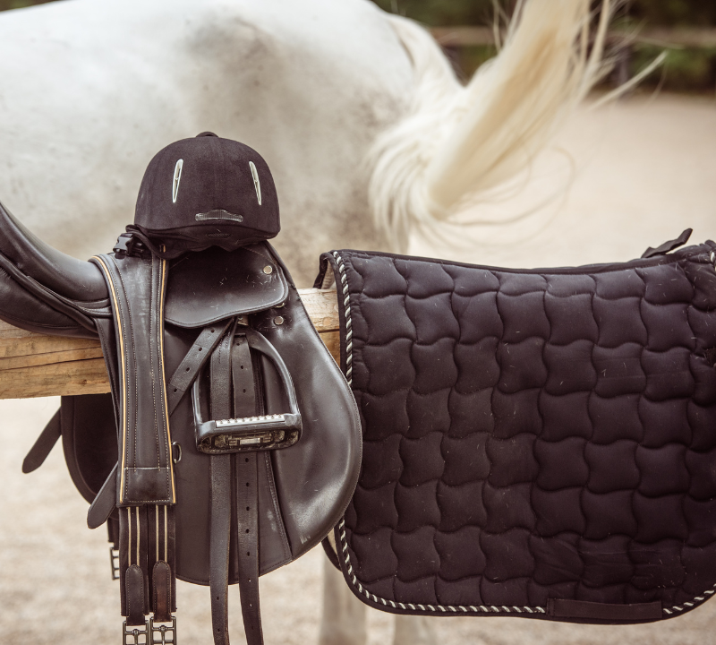 Jetzt 10% Rabatt & mehr auf Reitsportzubehör sparen