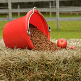 Save 20% or More on Animal Feed