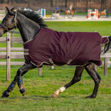 Turnout Rugs for Horses