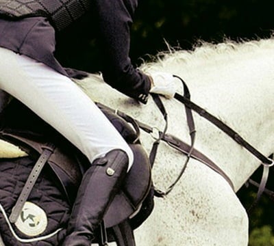 Tous les pantalons d'équitation avec 40 % de réduction et plus