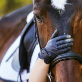 Guantes de equitación con un 40% de descuento y más