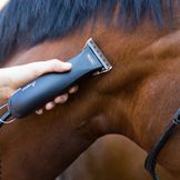 Clippers & Accessories for Full & Partial Clipping