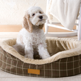 Dogs Beds for Indoor & Outdoor Use