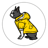 Raincoats For Dogs