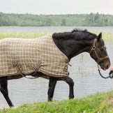 Couvertures d'extérieur pour chevaux