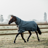 Paardendekens in de aanbieding