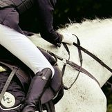 Leg Wear for Equestrians