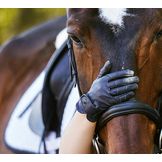 Gloves for Equestrian Sports