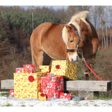 Idee regalo selezionate per voi da EquusVitalis