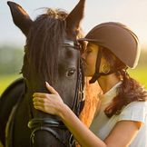 Помощ за конете при стрес, нервност и раздразнителност 