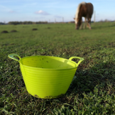 Bowls, Bags & Buckets for the Stable