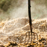 Izdelki in dodatki za odstranjevanje gnoja