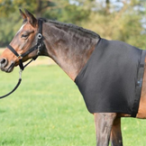 Rug Accessories for Horses