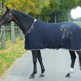 Cooler Rugs & Transport Rugs for Horses