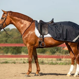 General Exercise Rugs