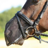Neusbescherming voor paarden