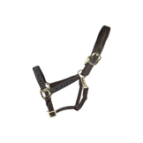 Chic Halters for Shows