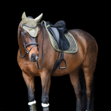 HV Polo - konjeniška moda jesen/zima 2023