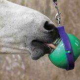 Licks & Snack Blocks for Horses