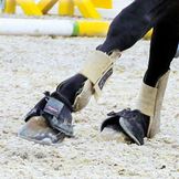 Beenbeschermers, bandages en springschoenen voor paarden
