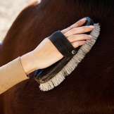 Grooming Tools for Horses