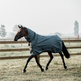 Stall, vinter och svettäcken för hästar