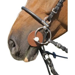 beris Tango Comfortstange HARD