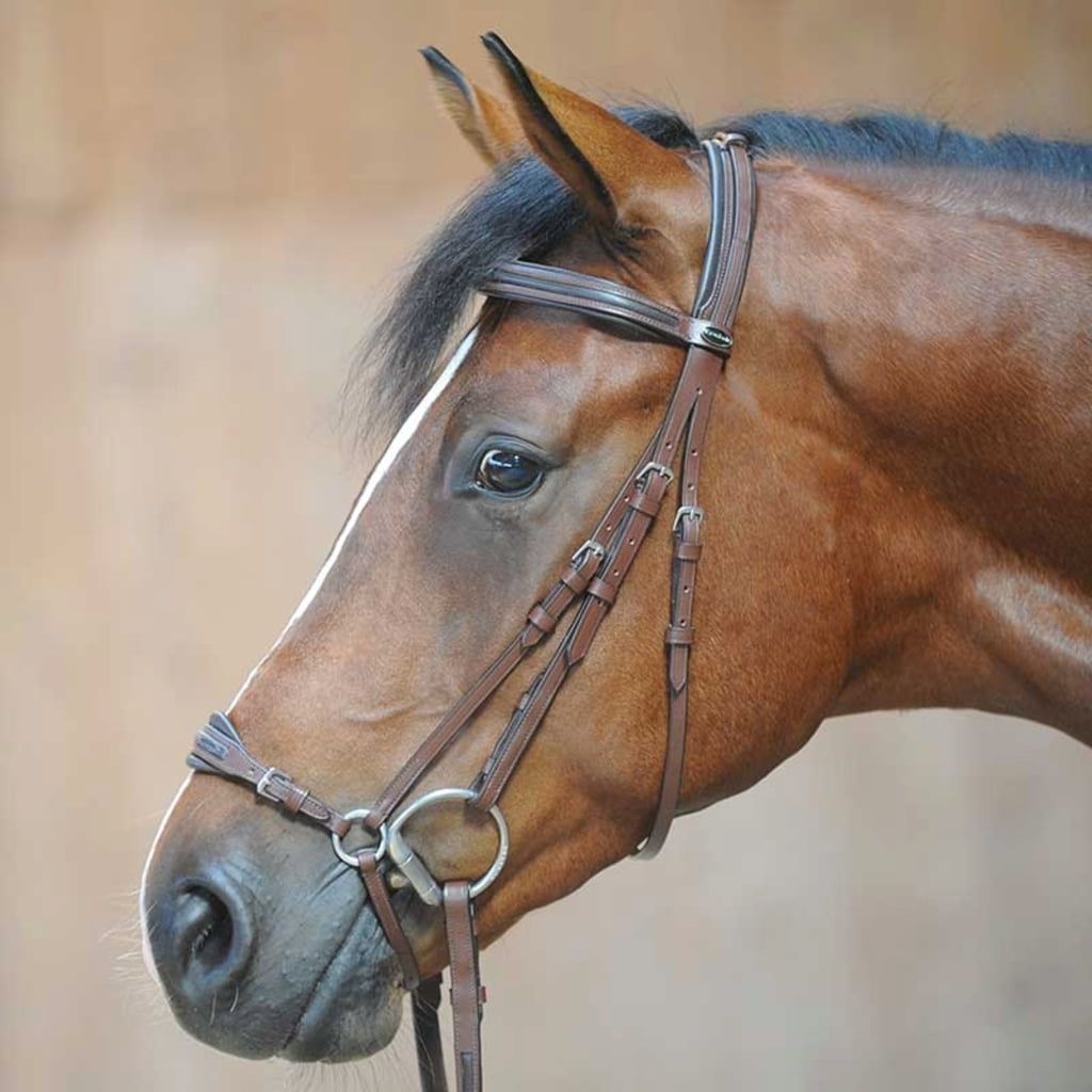 English Leather Horse Halters -Tack Warehouse carries a wide