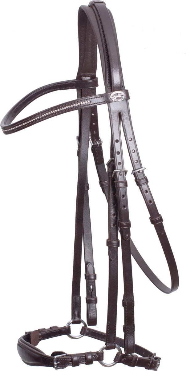 Bridle Classic Line 