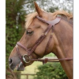 Different Collection Bridle Comb. Noseband Brown