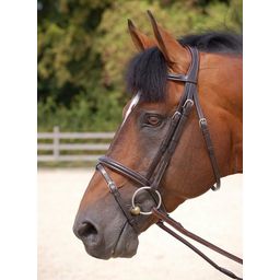 Working Collection Flash Noseband Bridle Brown