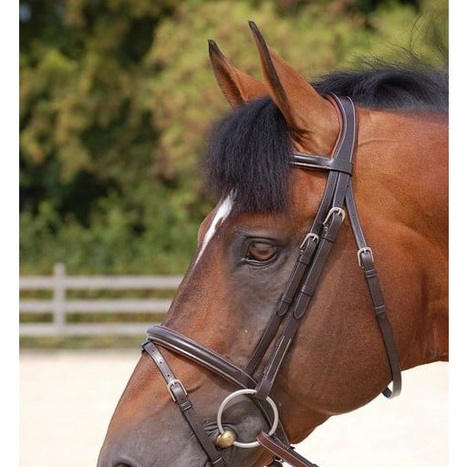 Working Collection Flash Noseband Bridle - Brown