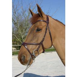 Dy'on X-FIT Anatomic Bridle, Brown
