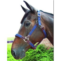 Working Collection Headcollar Nylon Leather Padded - Brown