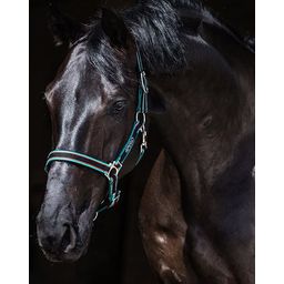 Horseware Ireland Amigo Headcollar, Black/Teal